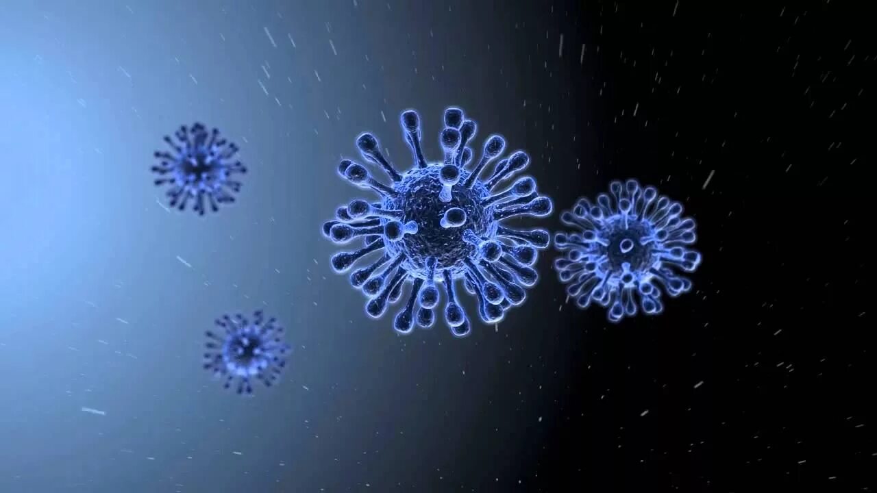 Грипп н5. Вирус гриппа h5n1. H5n1. Вирус гриппа под микроскопом h1n1. Штамм гриппа h5n1.