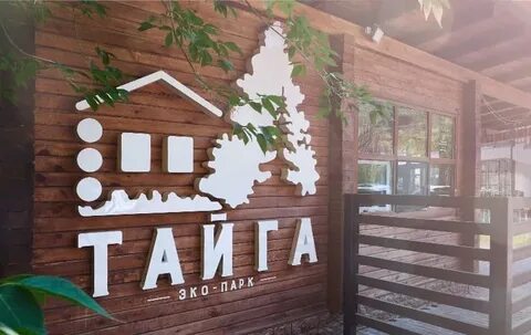 Сайт тайга тюмень