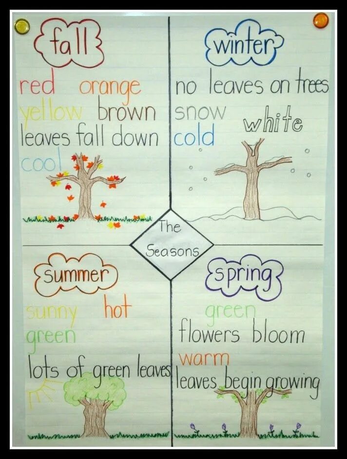 The browns leave. Seasons for Kids 2 класс. Seasons на английском. Английский проект Seasons.