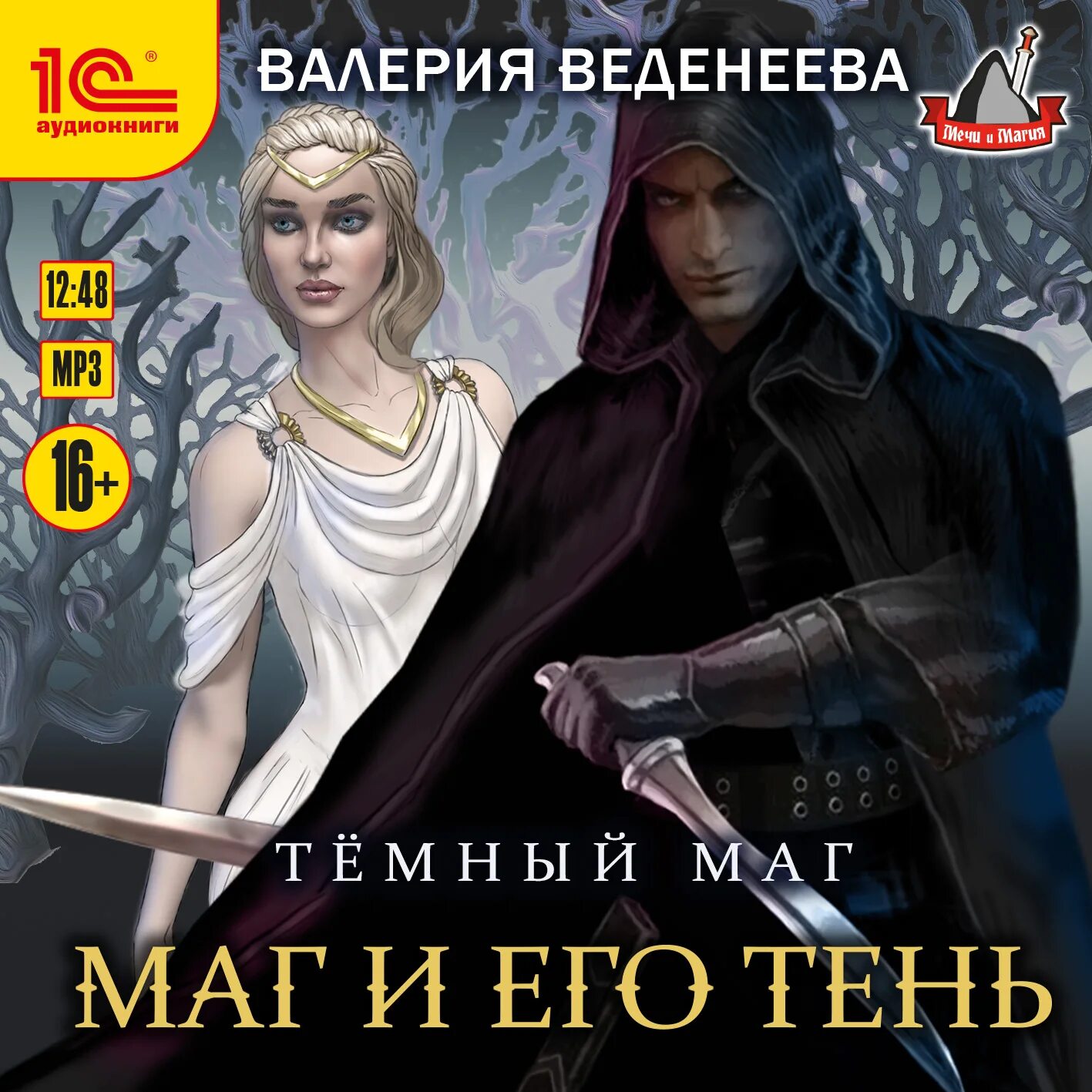 Маг и его тень. Аудиокниги про магов. Темный маг. Читать книги маг тени 7