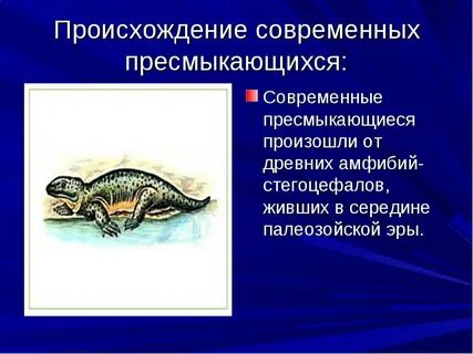 Эрой пресмыкающихся называют