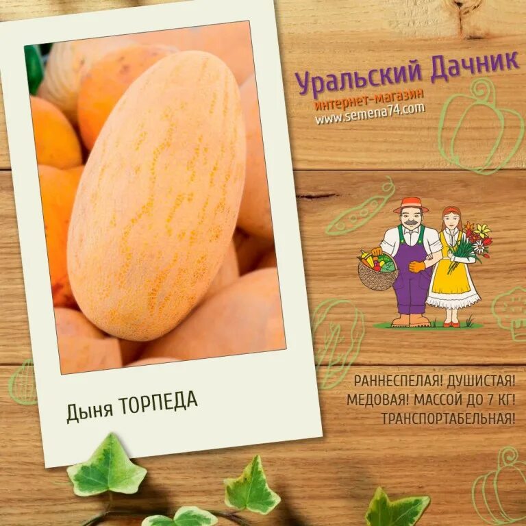 томат сахарная молния уральский дачник. морковь алтайская сахарная (1,5 гр. помидоры суперсладкое чудо описание сорта. перец сладкий чудо дерево f1 (уд). томат розовый гигант уральский дачник.