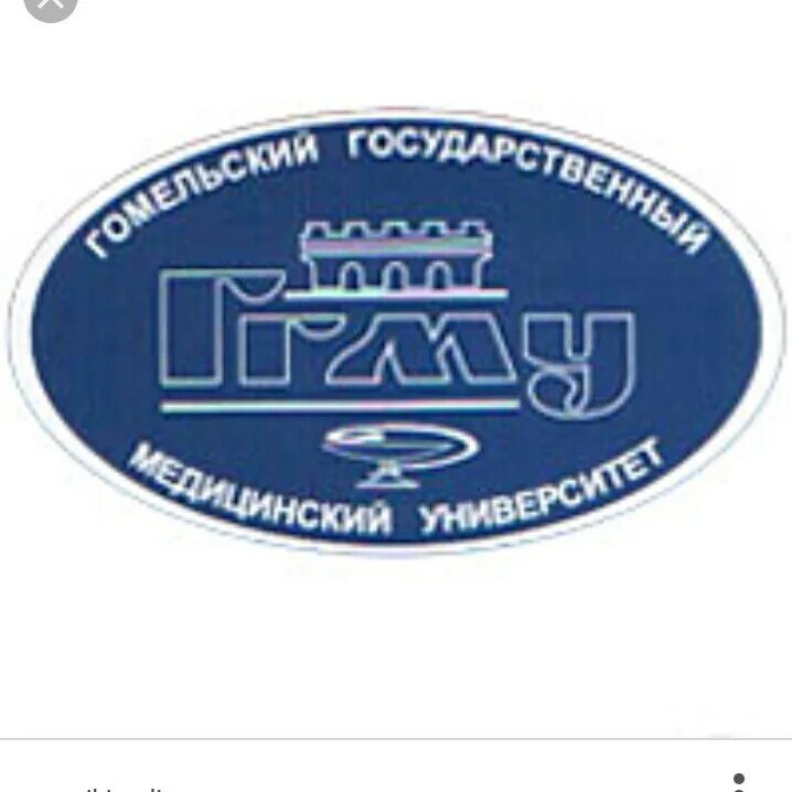 Гомгму. Гомельский медицинский университет фото. Тбилиси медицинский университет. Герб гомельского государственного медицинского университета. Гомельский медицинский университет официальный сайт.