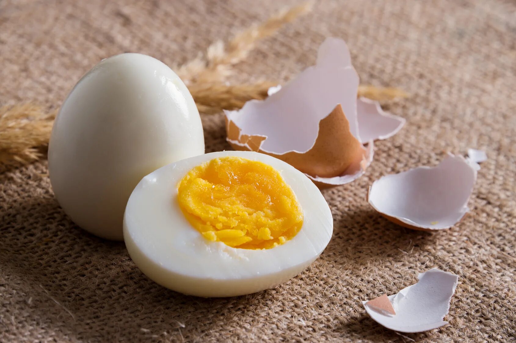The strongest egg yolk. Вареные яйца. Яйцо отварное. Яйца фото. Яйца вкрутую.