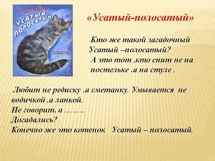 Усатый полосатый приют кемерово