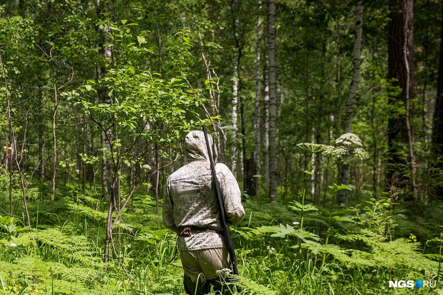 в лесу охотник был. охотник в лесу. охотница в лесу. охотник в лесу. охота в лесу.