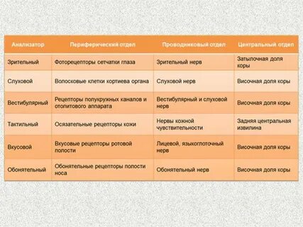 Таблица название анализатора строение функции