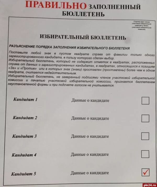 Как написать что проголосовали. Избирательный бюллетень. Избирательный бюллетень образец. Бюллетень для голосования образец. Образцы бюллетеней для голосования на выборах.