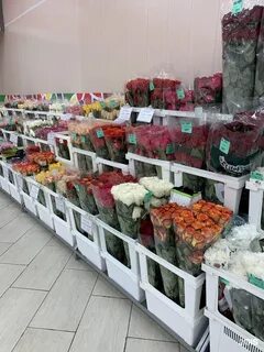 Магазин цвет казань