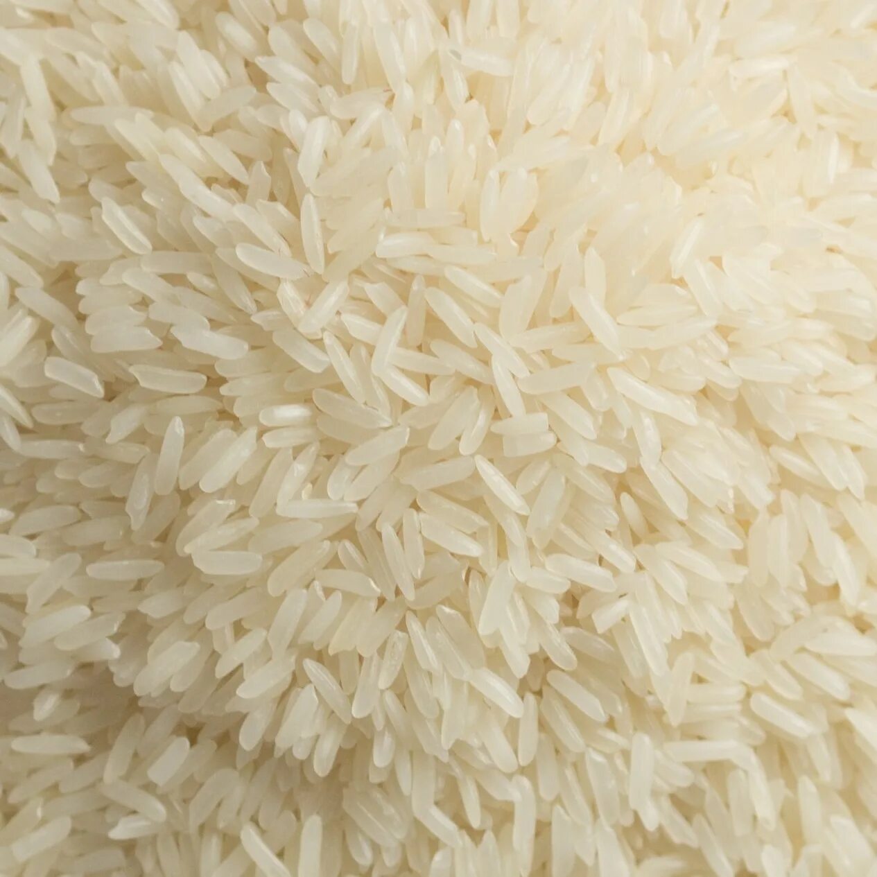 Many rice. Рис басмати вареный. Патна рис. Длиннозерный рассыпчатый рис. Виды риса басмати.