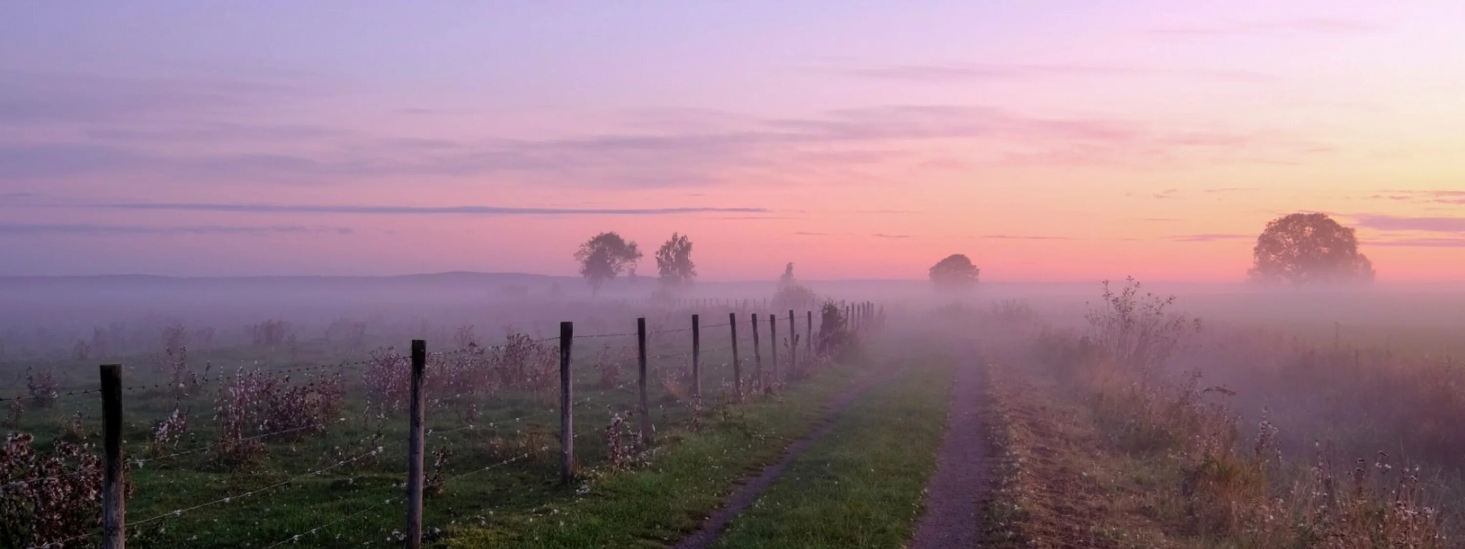 Утренний рассвет фото. Рассвет туман. Старый закат. Туман на волге. Рассвет.