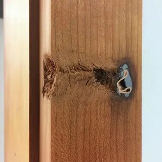Made the door