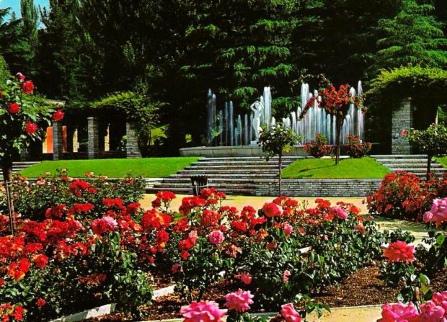 Ботанический сад ленина. Ботанический сад ленина. Ботанический сад ленина. Памятник ленину ялта. Ботанический сад на мокрушина томск.
