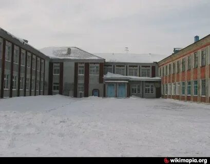 Общеобразовательная школа новосибирская область