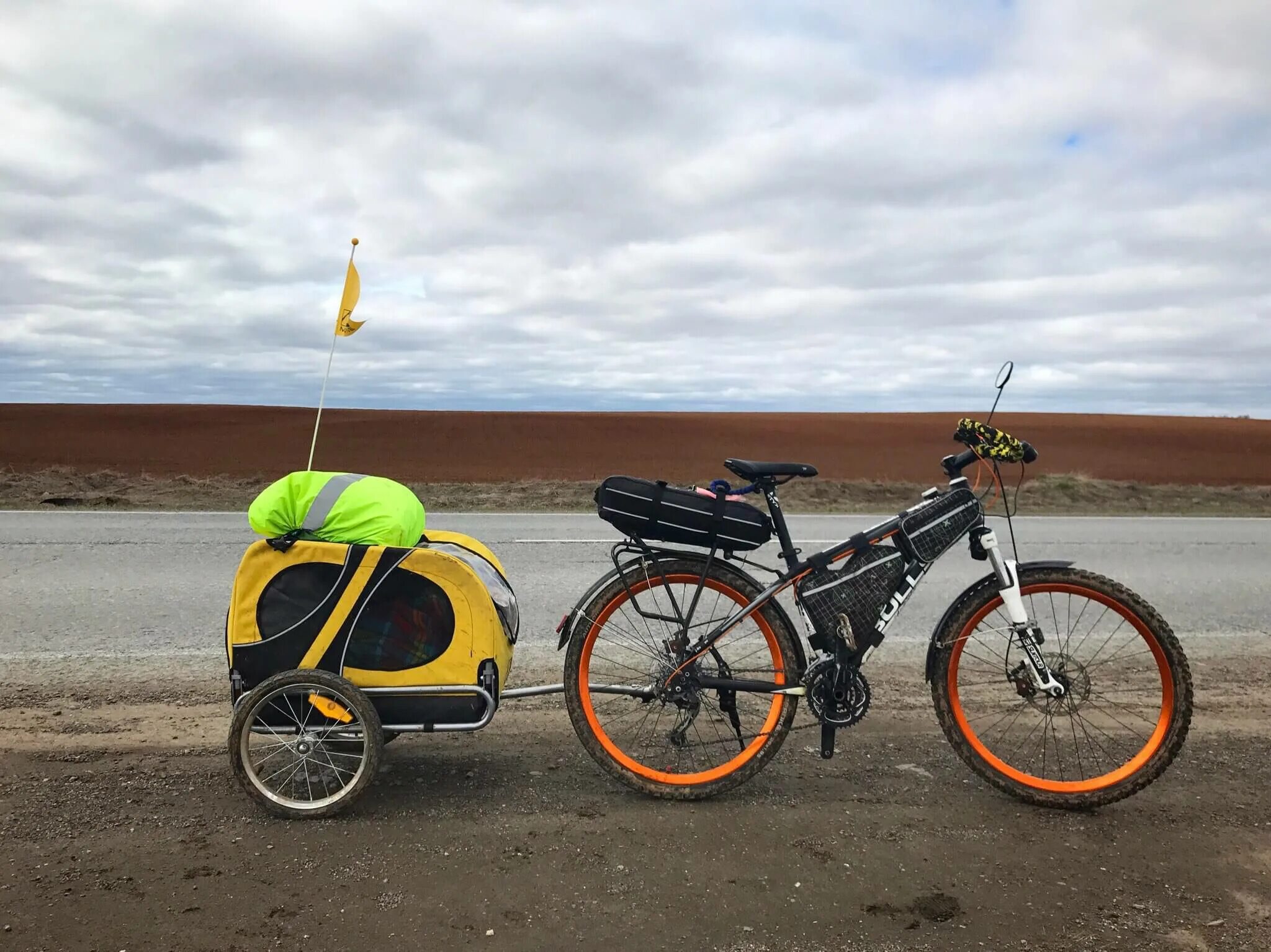 Велоприцеп Bob Ibex. Велоприцеп Велодом. Велоприцеп Extrawheel. Bimgobike велоприцеп.