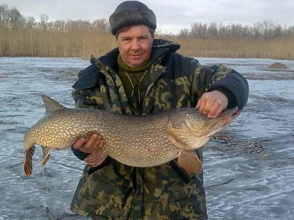 Лагуна еганова платная рыбалка