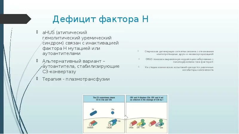 Дефицит комплемента фактора h. Недостаток комплемента фактора h. Дефицит фактора 9. Недостаток фактора 3.