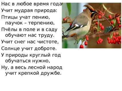 Нас в любое время года учит