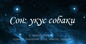 Во сне покусала собака за руку
