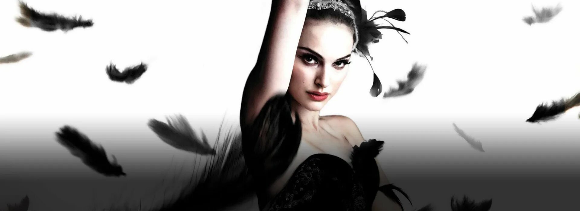 Чёрный лебедь. Черный лебедь хср арты. Черный лебедь ротбарт. Черный лебедь рисунок. Черный лебедь хср арты.