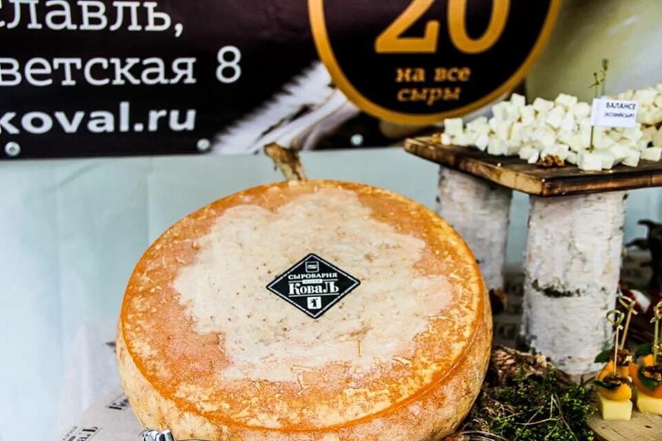 Сыр день и ночь. День сыра. 20 Января день сыра. Международный день сыра 2023. Праздники о сырах в течение года.