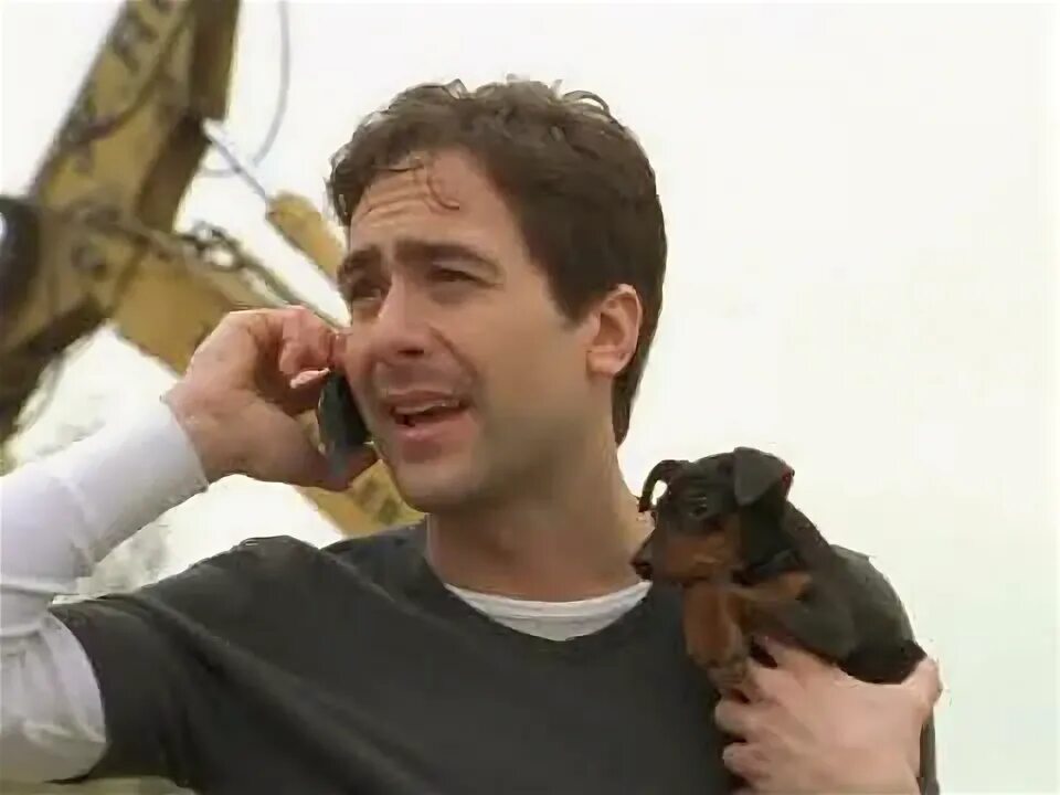 Комиссар рекс 10. Комиссар рекс мозер. Комиссар рекс 10. Комиссар рекс брандтнер. Комиссар рекс 10.