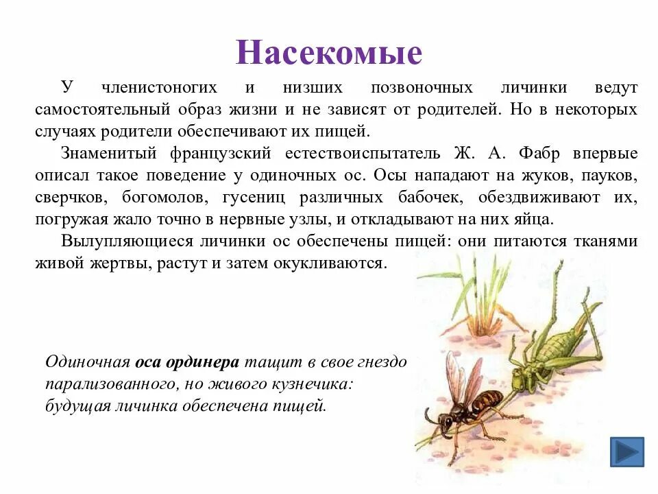 Привести примеры заботы о потомстве. Забота о потомстве 9 класс биология. Забота о потомстве это в биологии. Забота о потомстве 9 класс биология кратко. Формы заботы о потомстве у животных.