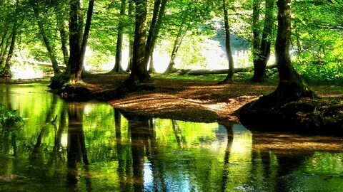 Обои на весь экран природа