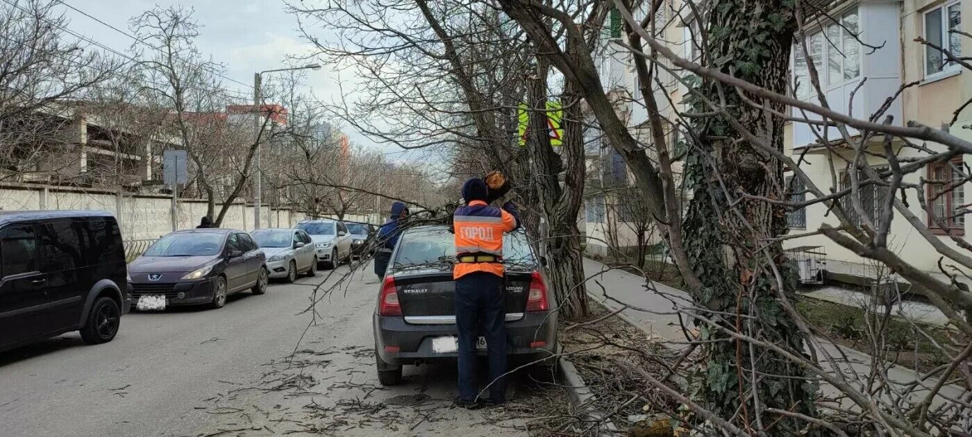 Срочные новости крым. В Симферополе упало дерево. Припаркованная машина. ДТП Семашко Симферополь.