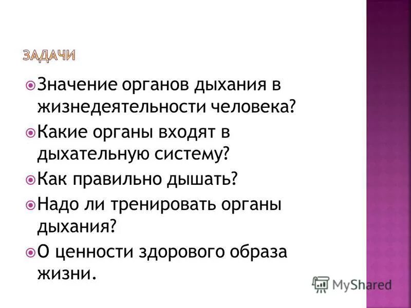 Сообщение как надо дышать. Значение органов дыхания. Значение этого органа для жизни человека. Входит ли в жизнедеятельность дыхание.