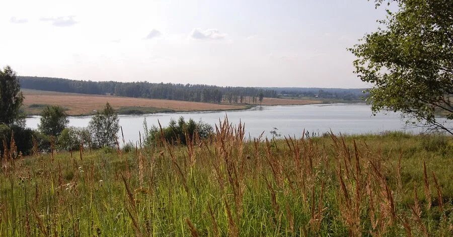 Участки в городе тула. Участки тульская область. тула село архангельское ленинский. земельные участки в архангельске.