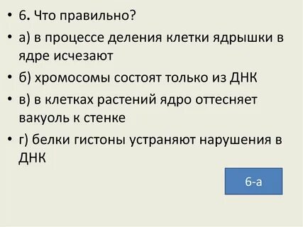Клетка спутница имеет ядро