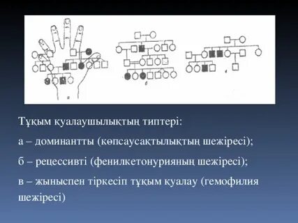 Порнодағы гном