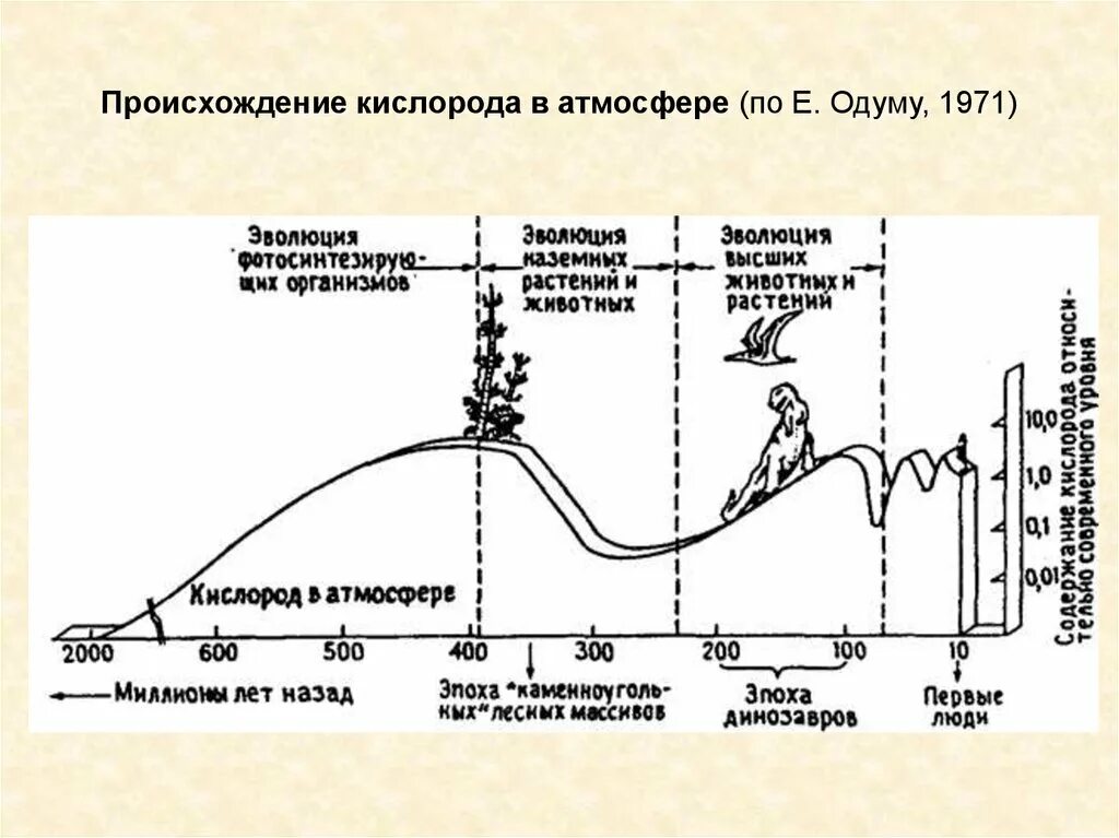 Важную роль накопления кислорода в атмосфере играют. Изменение содержания кислорода в атмосфере земли. Эволюция биосферы. Кислородная Эволюция.. График развития человечества. Появление кислородной атмосферы на планете.