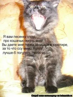 Песню вам помочь