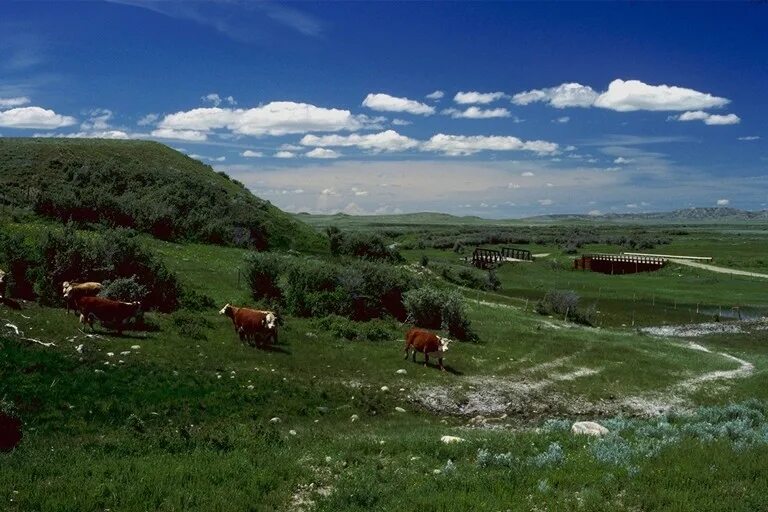 стройка родные земли. горсть почвы. родные земли москва. родина россия. родина природа.