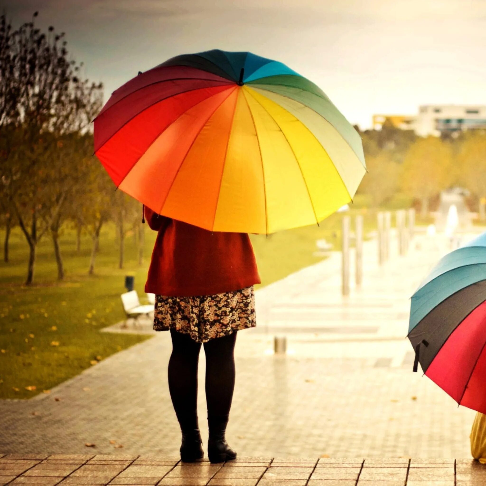 Зонтики яркие. Разноцветные зонтики. Разноцветный зонт. Девушка с разноцветным зонтом. Яркий зонтик