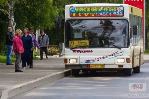 Время автобуса пермь