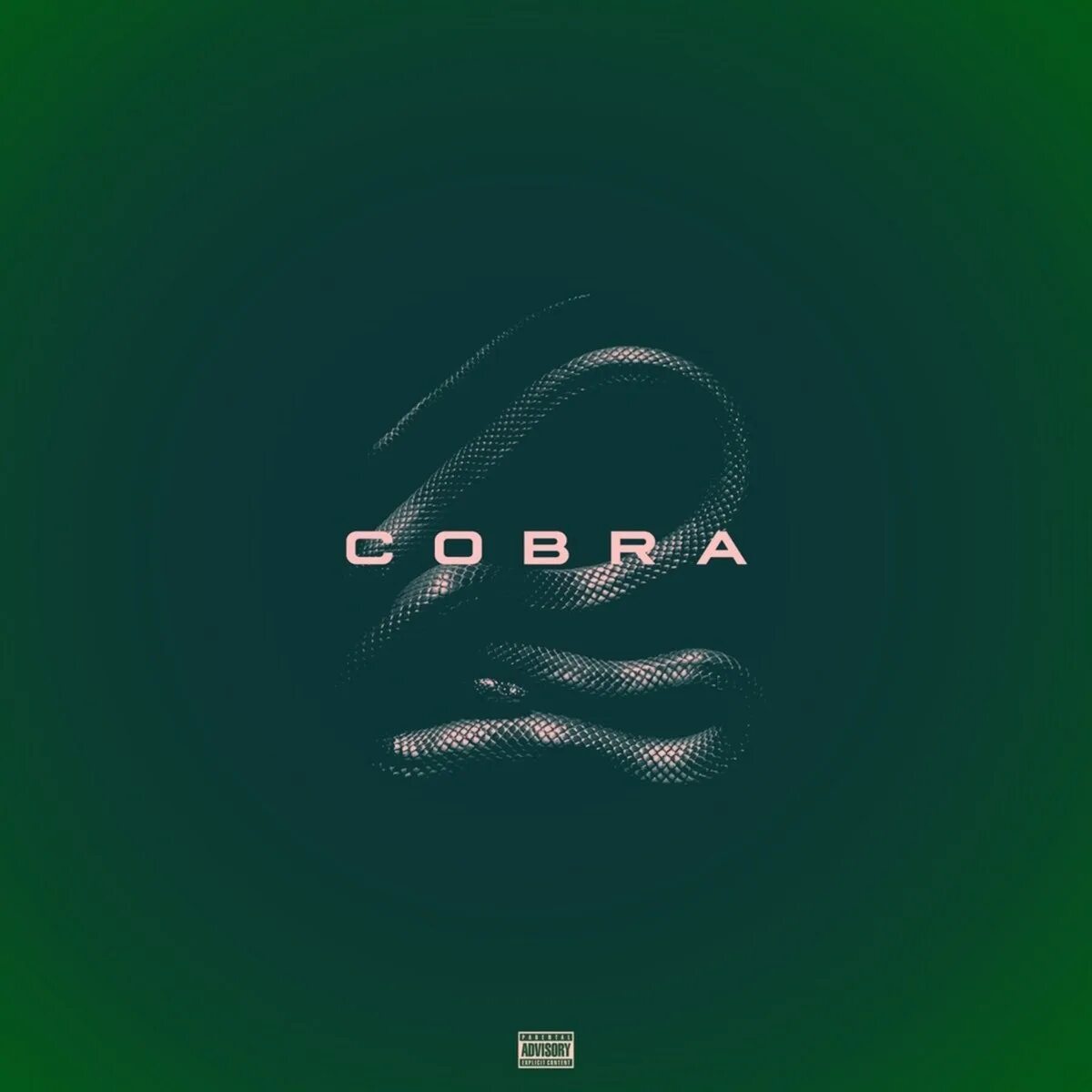 Песня cobra. Кобра песня. Мелодия для кобры. Кобра слушать.