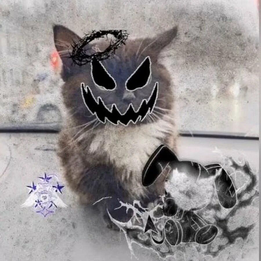 Ава кот сигма. Кот чмоня дота 2 авы. аватарка кот. котики на аву. ава для доты кот.