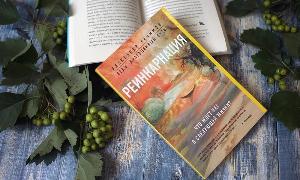 Читать книгу реинкарнация. Реинкарнация хакимов. книги про реинкарнацию. лекции о реинкарнация.