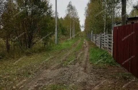 Снт шелухово нижегородская область