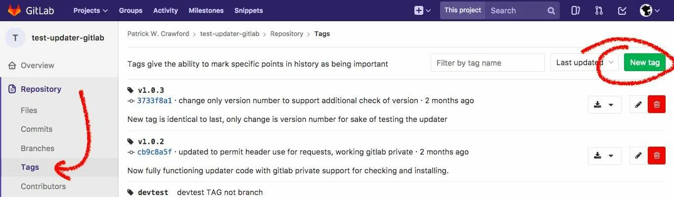 Удалить gitlab. Gitlab как удалить репозиторий. gitlab tags. удалить проект gitlab. gitlab wiki как добавить тэги.