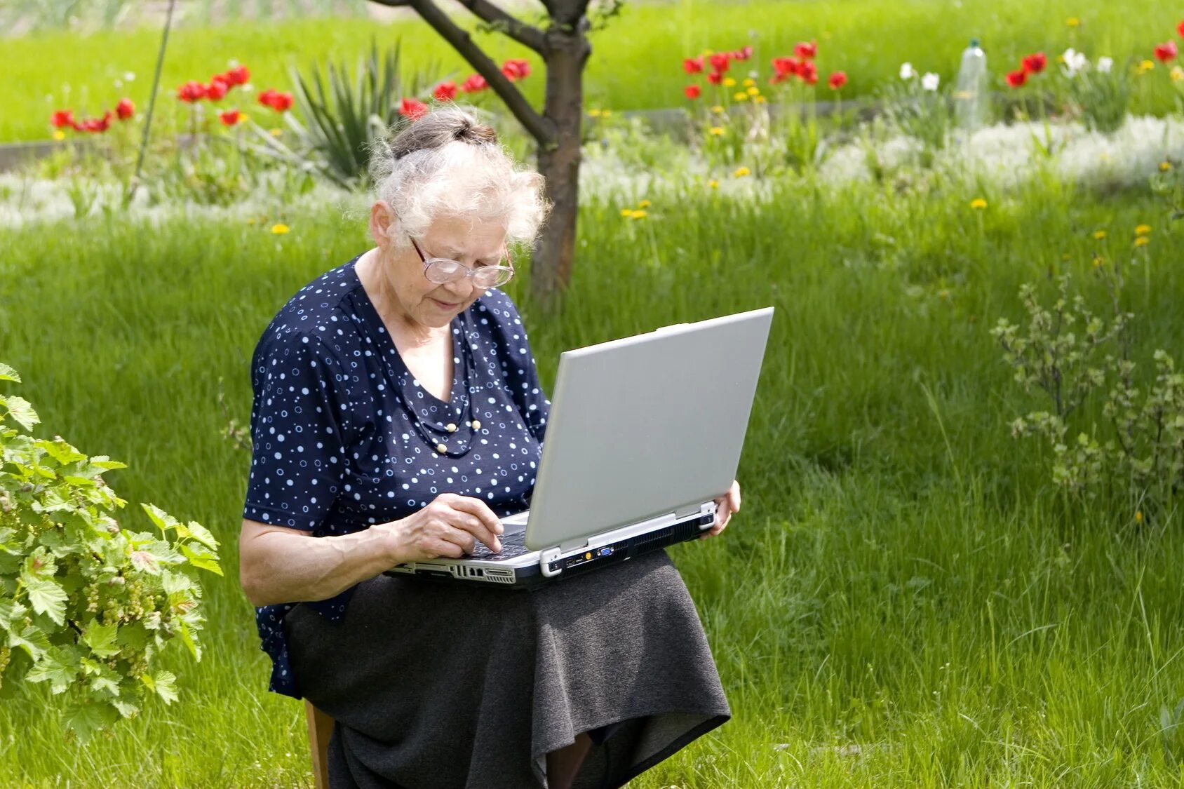 Бабушка на даче. Интернет на дачу. Бабушка с ноутбуком. Бабуля на даче.