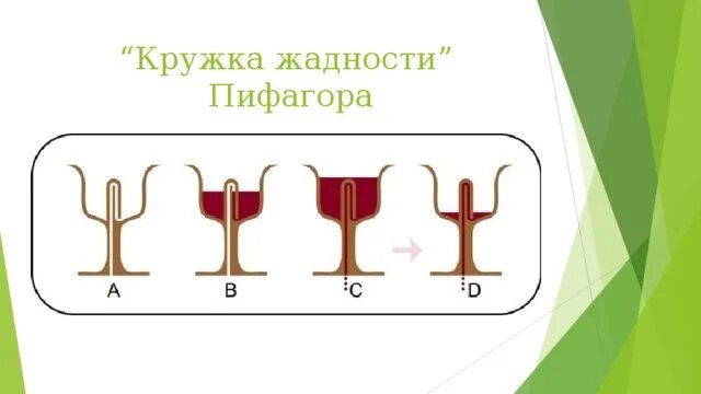 Кружка пифагора как работает. Кружка жадности пифагора. чаша пифагора принцип. чаша пифагора схема. принцип кружки пифагора.