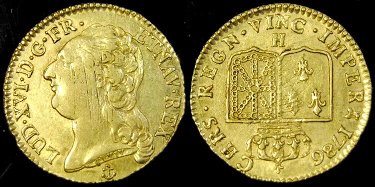 Француз 6 букв. Золотые монеты Луидоры. Луидор французская монета. Луидор Франция 19 век. Двойной Луидор 1787 монета.