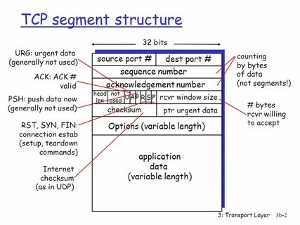 Tcp заголовок размер