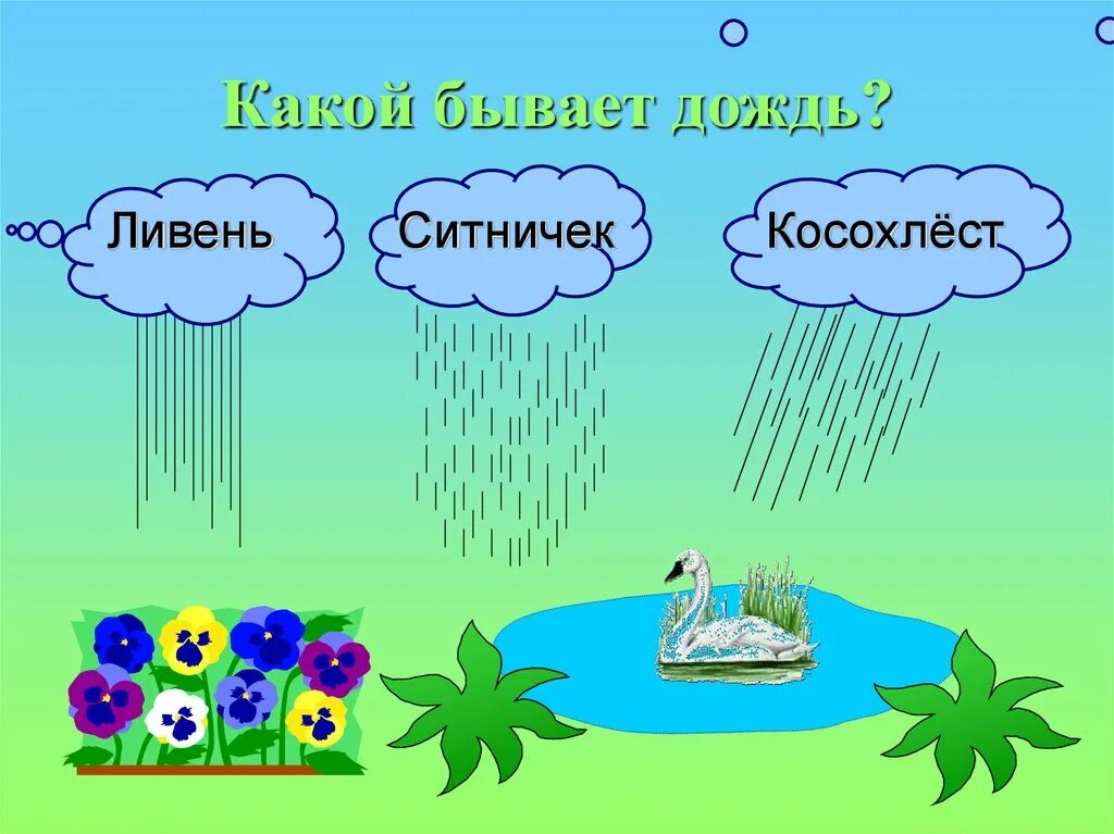 Ливень ситничек косохлёст. Какие бывают дожди. Дождик ситничек. Виды дождя для детей.