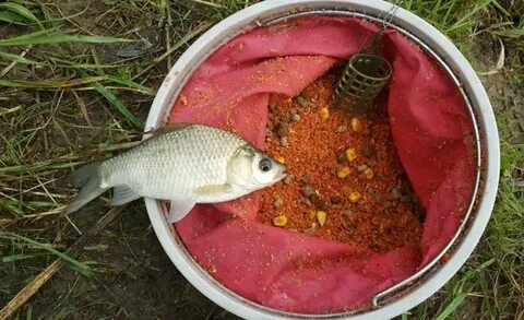 Лучшая прикормка на карася своими руками