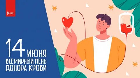 День донора на вднх 2024